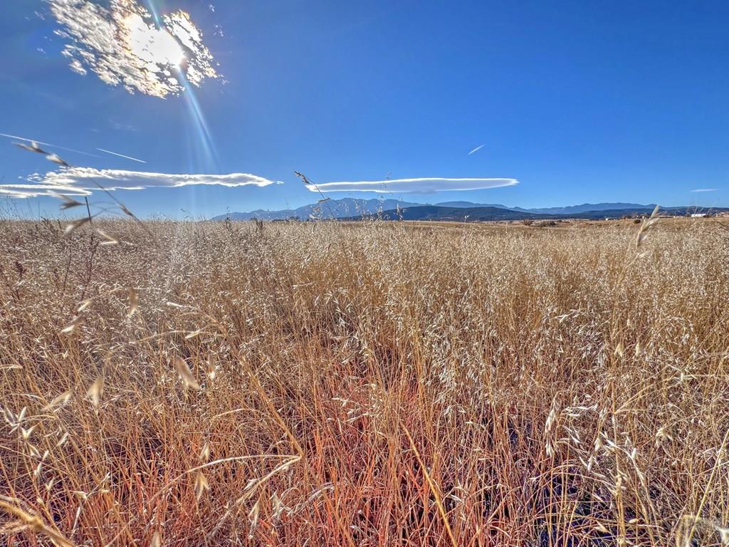 Land in Colorado City 5