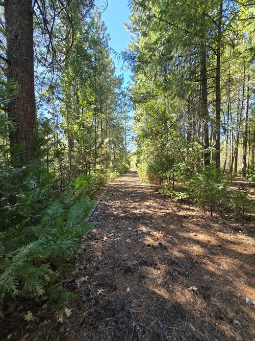 158 Bridger Way, Oak Run, CA, 96069 | Card Image