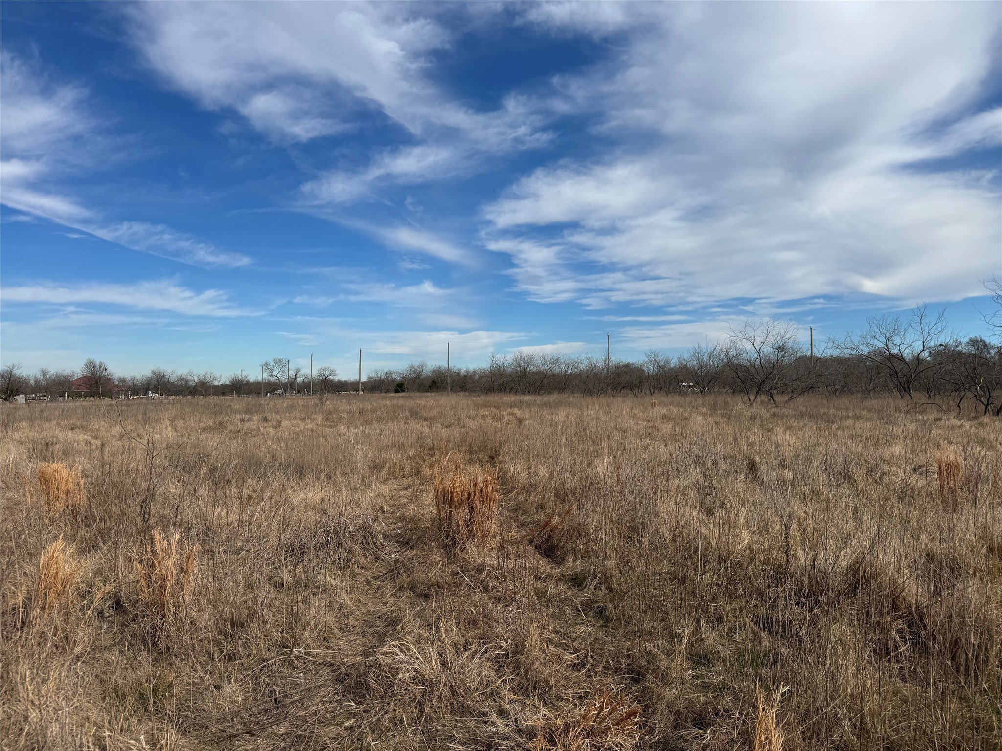 Land in Wortham 3