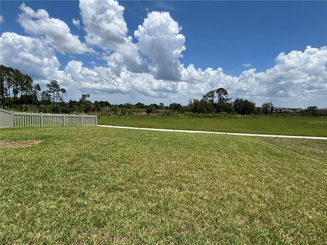 Oversized lot w conservation area | Image 28