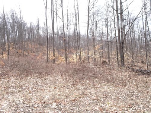 M Chief Rd, Bear Lake, MI, 49614 | Card Image
