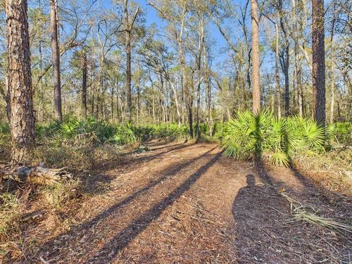 465 Ne River Ridge Way, Lee, FL, 32059 | Card Image