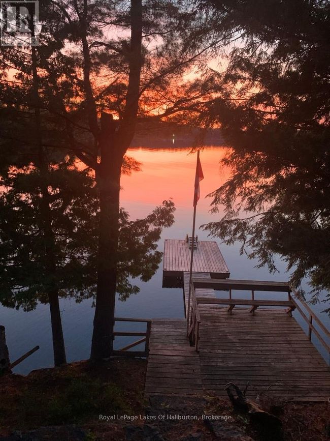 1358 Kushog Lake Rd, House other with 4 bedrooms, 3 bathrooms and 6 parking in Algonquin Highlands ON | Image 9