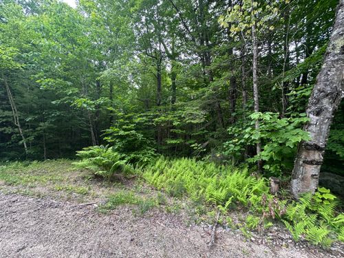 13023 Hobbs Road, Greenwood, ME, 04255 | Card Image