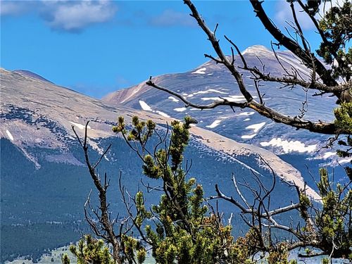 2041 Middle Fork Vis, FAIRPLAY, CO, 80440-4008 | Card Image