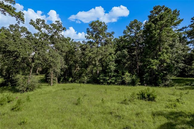 Could this be your new homesite? | Image 4
