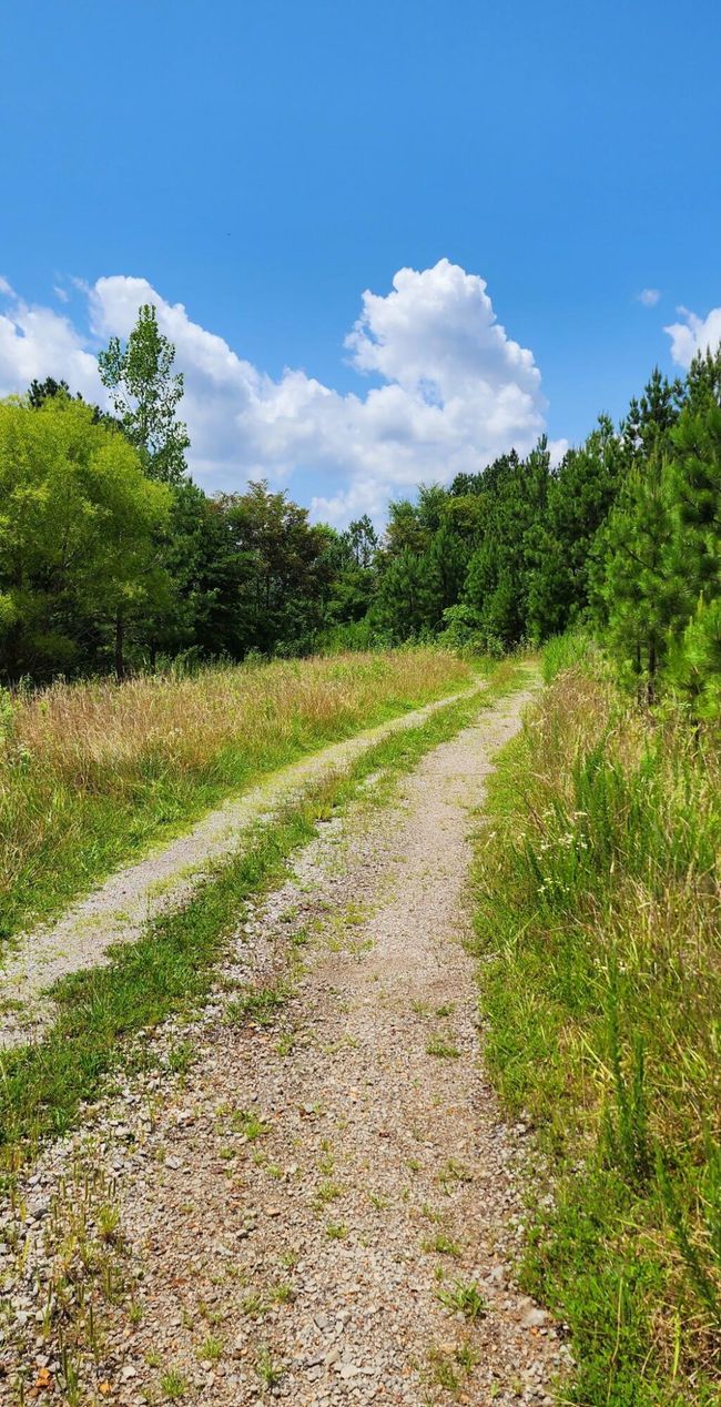 5199 Burkett Chapel Rd, Home with 4 bedrooms, 2 bathrooms and null parking in Whitwell TN | Image 56