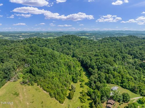 Tbd Hermitage Ln, Mount Carmel, TN, 37645 | Card Image