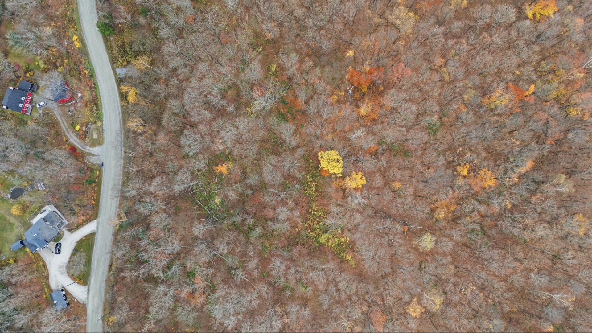 Land in Orford 2