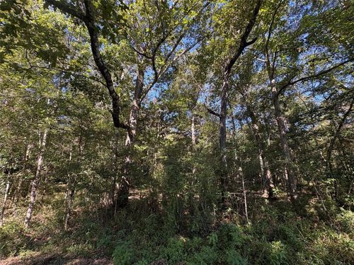 25595 Fm 787, Saratoga, TX, 77585 | Card Image