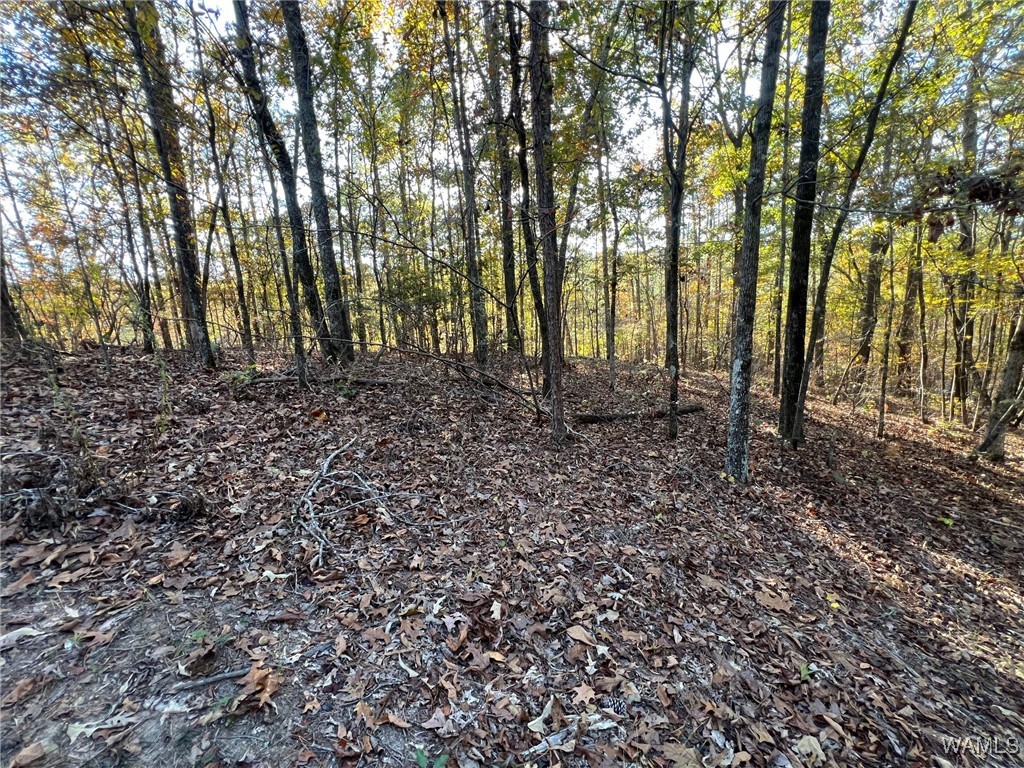 Land in McCalla 2