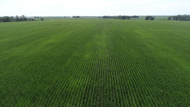 DJI_0812.JPG | Image 14
