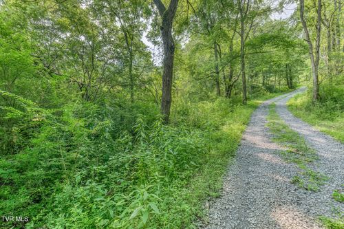 119-119 Alice Johnson Rd, Roan Mountain, TN, 37687-3678 | Card Image