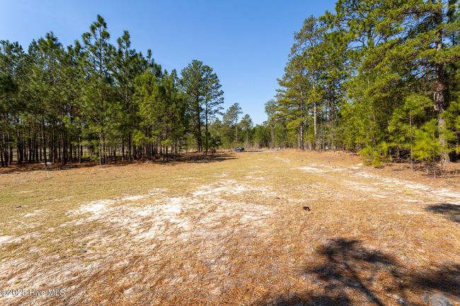 210 Palmer Grey Court, Home with 0 bedrooms, 0 bathrooms and null parking in Aberdeen NC | Image 10