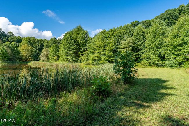 306 Bear Branch Rd, Home with 0 bedrooms, 0 bathrooms and null parking in Roan Mountain TN | Image 27