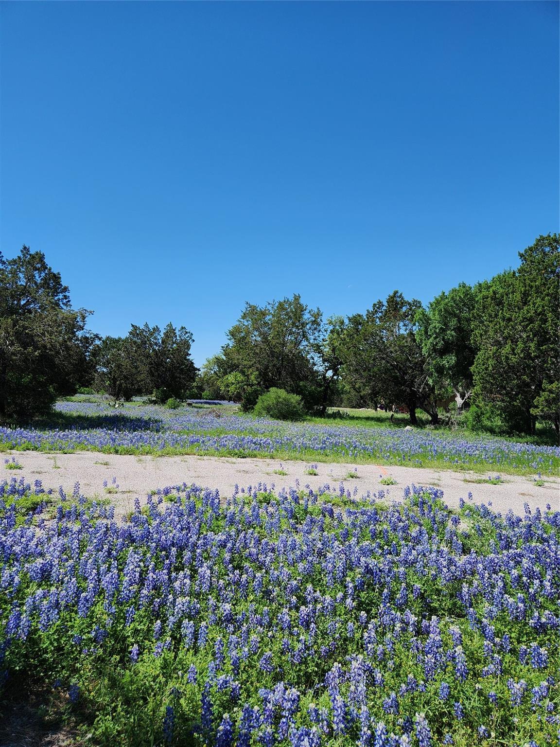 Land in Horseshoe Bay 5