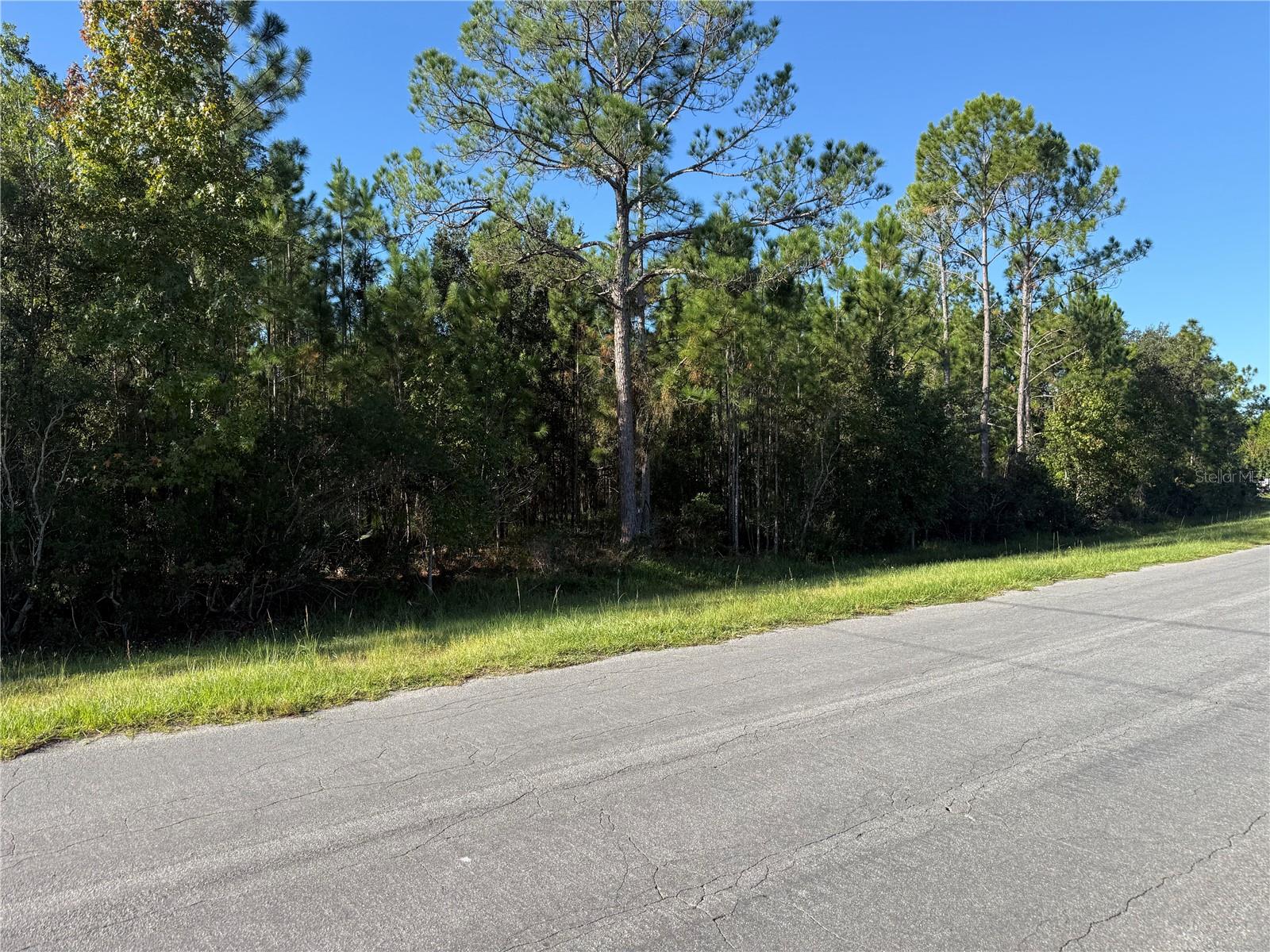 Land in ORLANDO