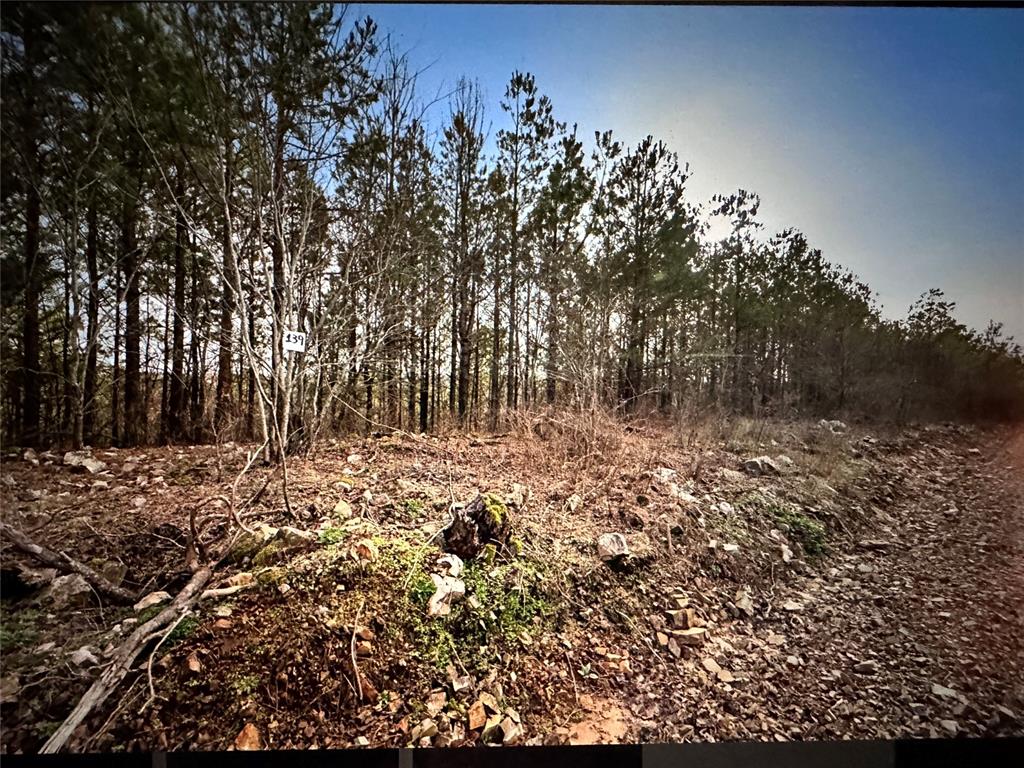 Land in Broken Bow 4