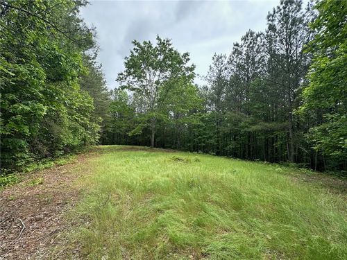 6 Larmon Forks, Dahlonega, GA, 30533 | Card Image