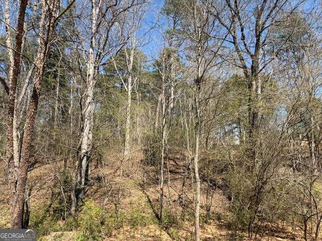 Land in Dacula 2
