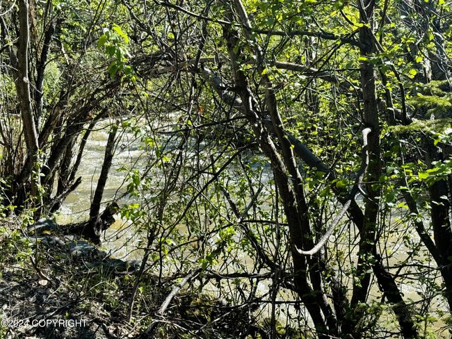 Squirrel creek | Image 6