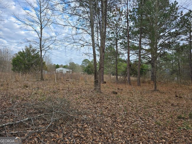 0 Willow St, Home with 0 bedrooms, 0 bathrooms and null parking in Stephens GA | Image 7