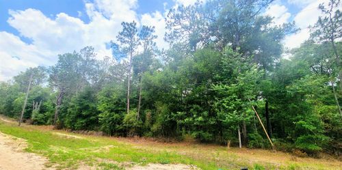 413 Pheasant Rd, Satsuma, FL, 32189 | Card Image