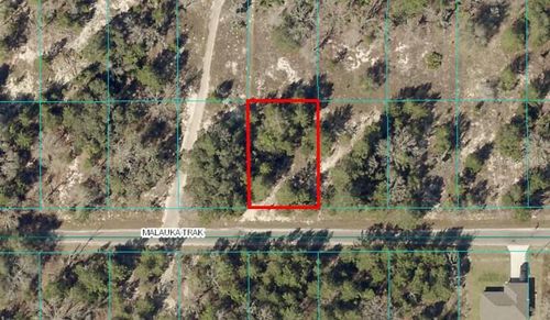 TBD LOT 12 Malauka Track, Ocklawaha, FL, 32179 | Card Image