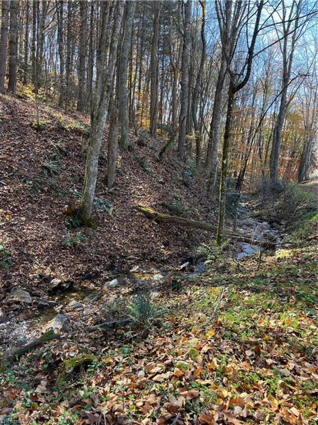 1972 Big Horse Creek Rd, House other with 3 bedrooms, 2 bathrooms and null parking in Lansing NC | Image 12