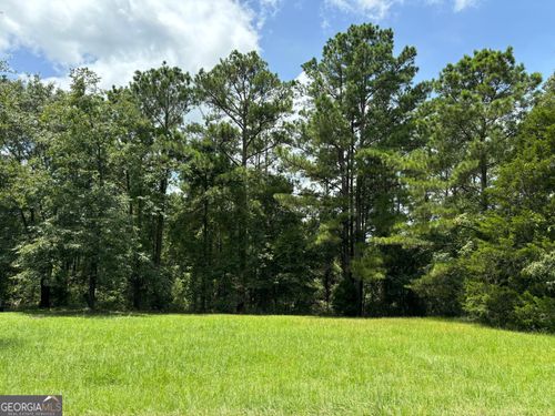 117 Pine Hill Rd, Cusseta, GA, 31805-3815 | Card Image