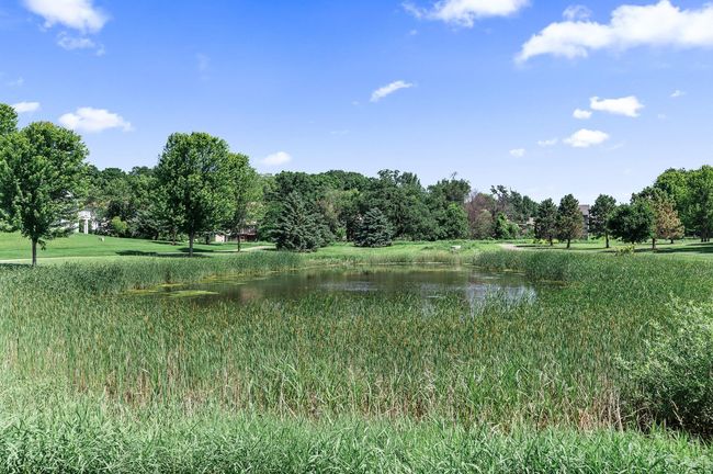 Near lots of walking trails and ponds | Image 42