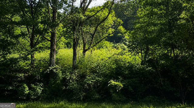 Land in Lafayette 4