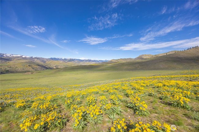 1 Terrace View Short Plat, Home with 0 bedrooms, 0 bathrooms and null parking in Methow WA | Image 15
