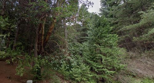 25890 Golf Links Drive, Pioneer, CA, 95666 | Card Image