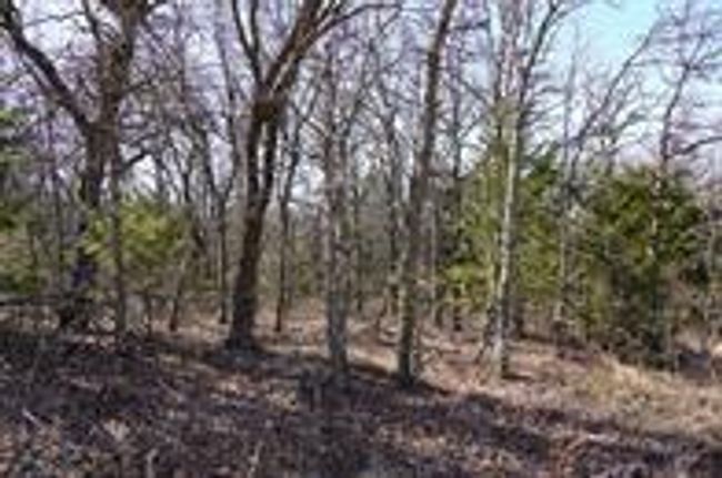 0 W Captain Dr, Home with 0 bedrooms, 0 bathrooms and null parking in Wellston OK | Image 18