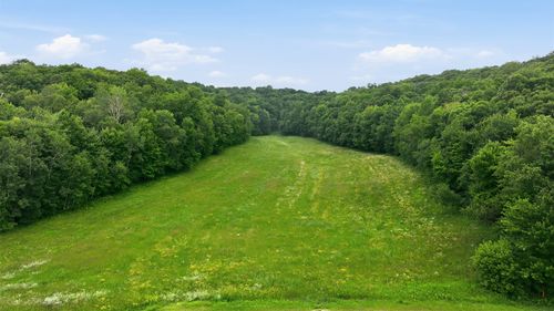 40 Acres County Road S, Wheeler, WI, 54772 | Card Image