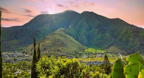 apt-701-663 Meakanu Ln, Wailuku, HI, 96793-2957 | Card Image