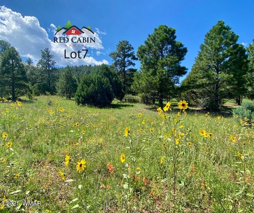 Lot 7 Red Cabin Ranch, Vernon, AZ, 85940 | Card Image