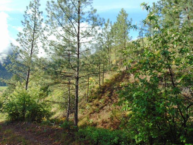 27235 Lazy Springs Rd, Home with 0 bedrooms, 0 bathrooms and null parking in Clinton MT | Image 42