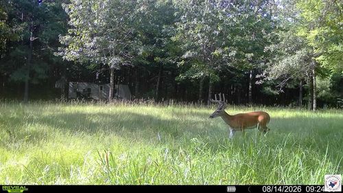 tbd FM 1841 Fm 1841, Bivins, TX, 75555 | Card Image