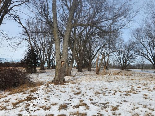 Lot 456/457/458 Sunnyslope Drive, Varna, IL, 61375 | Card Image