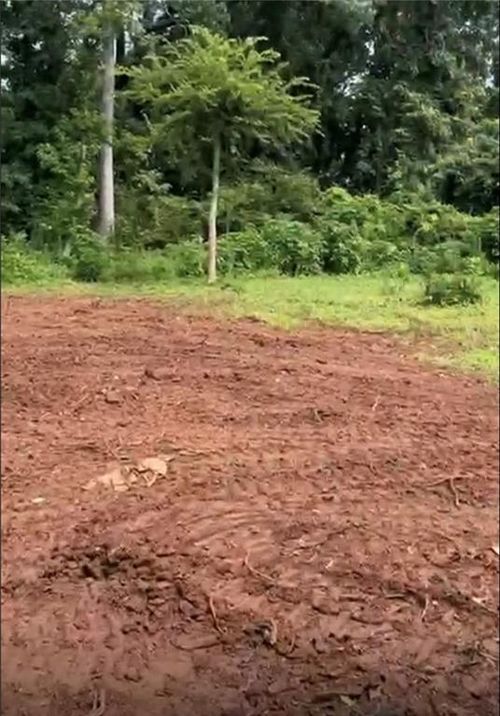 2047 Moody Dr Sw, Atlanta, GA, 30315-6024 | Card Image