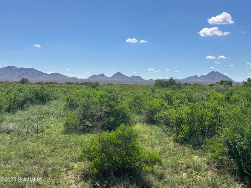 TBD Tasmania Ave, Las Cruces, NM, 88012 | Card Image