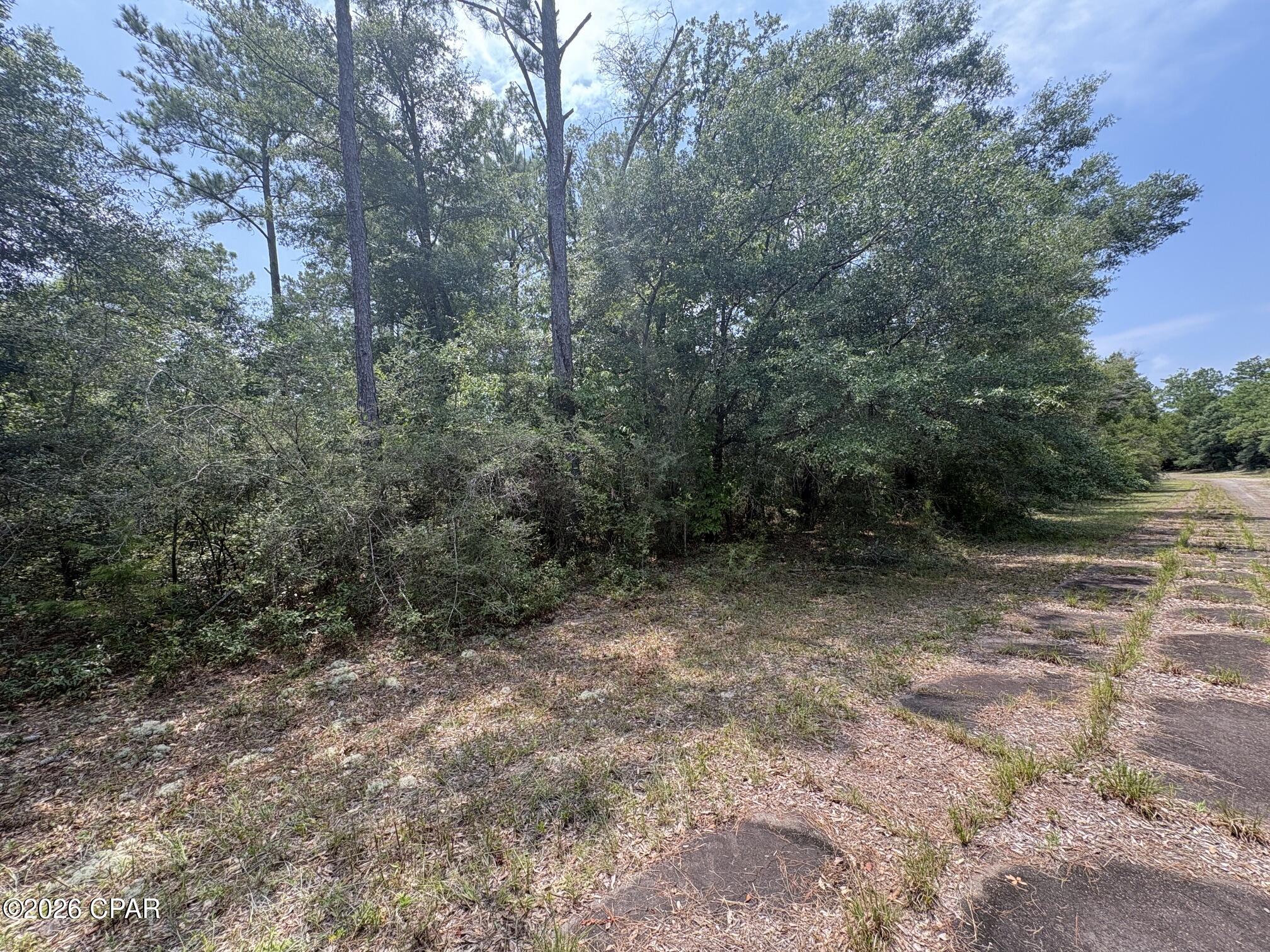Land in Chipley 3