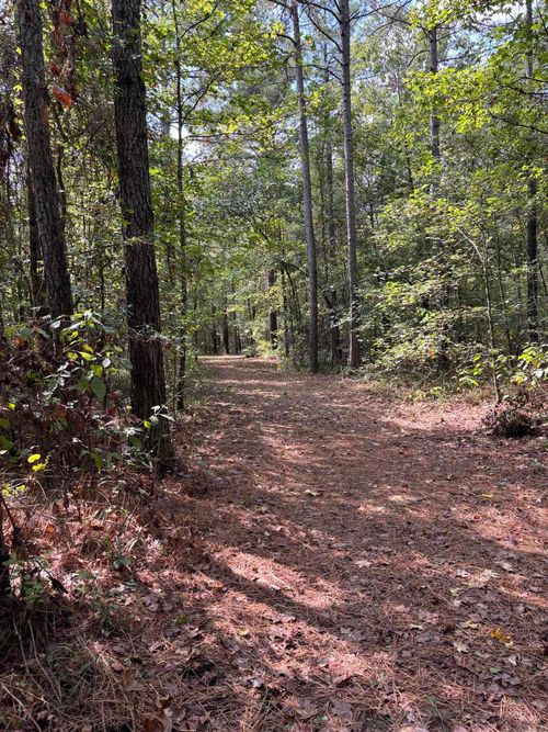 000 Avalon Rd, Star City, AR, 71667 | Card Image