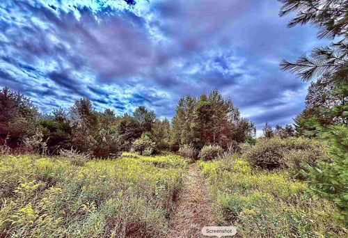 Parcel C M-113, Mayfield Township, MI, 49649 | Card Image