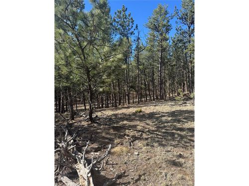 642 Matterhorn Dr, Florissant, CO, 80816-9016 | Card Image