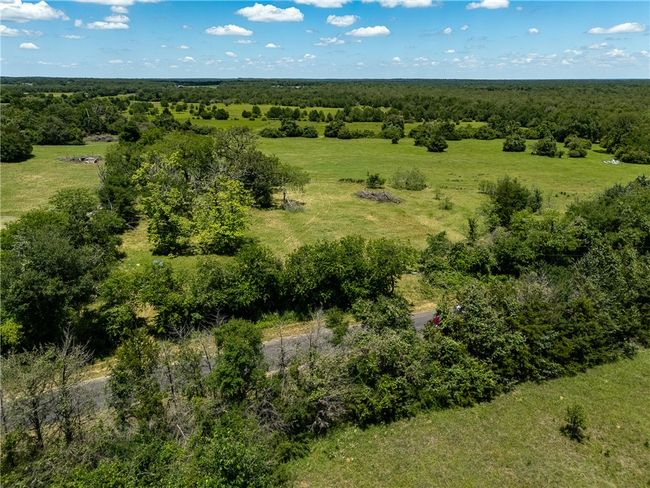 Aerial view of a forest | Image 16