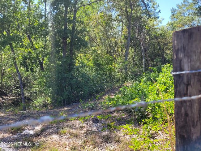 2155 State Road 40, Home with 0 bedrooms, 0 bathrooms and null parking in De Leon Springs FL | Image 75