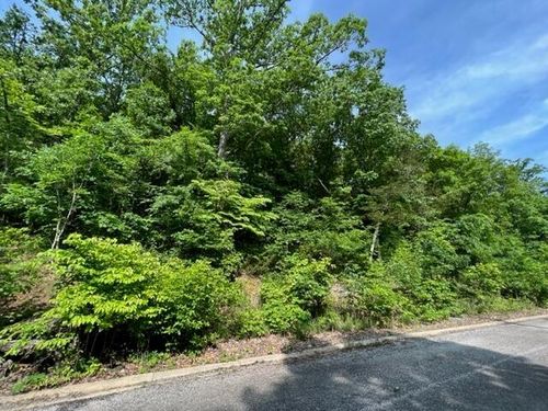 Lot 29 Hill Haven Road, Hollister, MO, 65672 | Card Image
